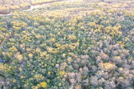 13254 E SHAWNEE TRL, Inverness, Floride 34450, États-Unis