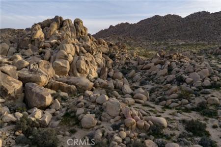 Chickasaw Road, Joshua Tree, California 92252, Stati Uniti