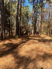 44.2 Acres State Hwy 64, Ben Wheeler, Texas 75754, Estados Unidos