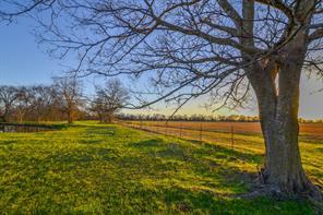 1392 US Highway 69, ポイント, テキサス 75472, アメリカ合衆国