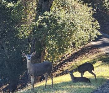 San Fernando, Atascadero, 加州 93422, 美國