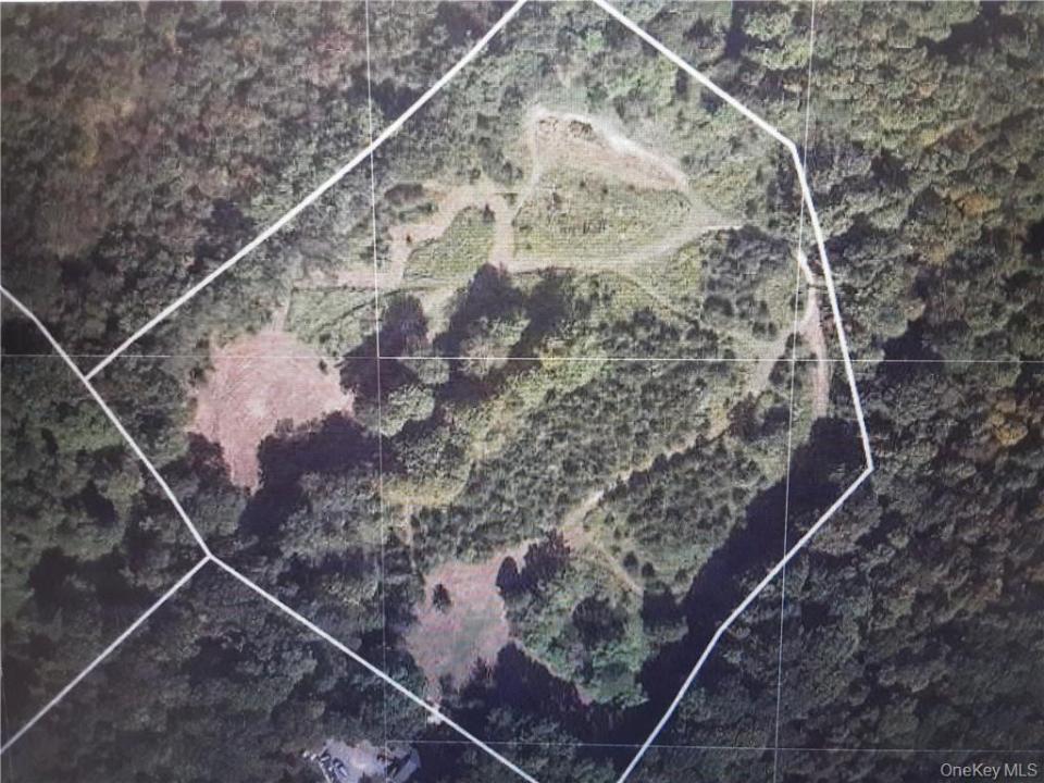 Oxford Road, Blooming Grove, 纽约州 10914, 美国