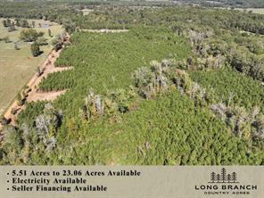 6 & 7 County Road 3121, Long Branch, Texas 75669, Stati Uniti