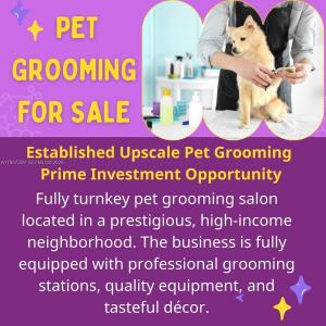 Pet Grooming, Delray Beach, Floride 33483, États-Unis