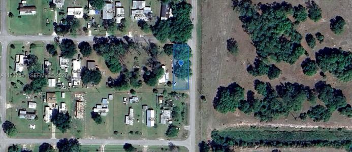 323 Jordan Ter, Okeechobee, Florida 34974, USA