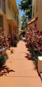 1337 Euclid Ave 101, Miami Beach, Florida 33139, USA