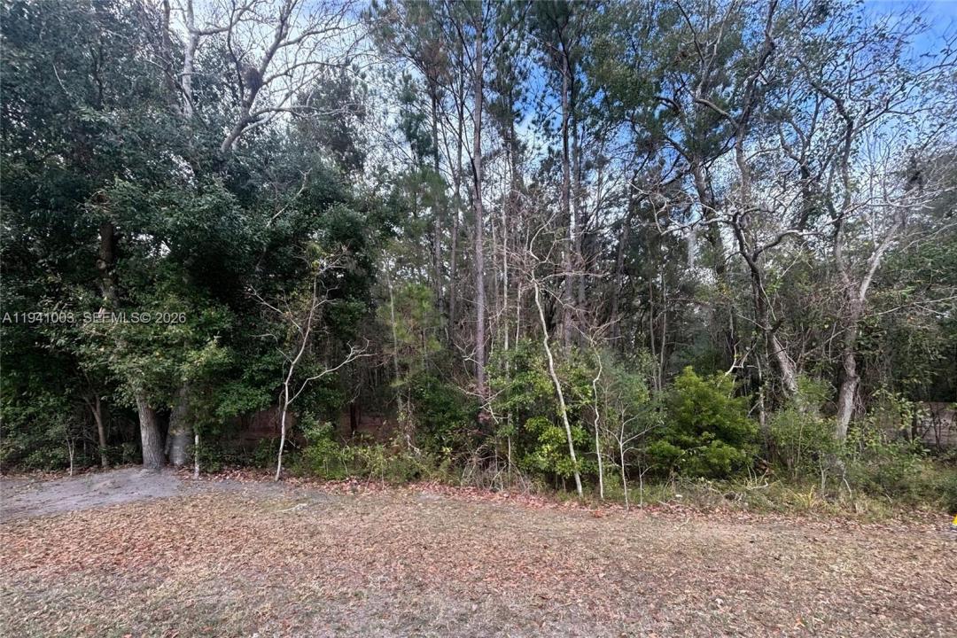 0 Landward, Florida 32068, Stati Uniti