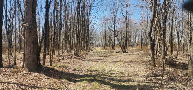 00 Liberty Street, Thompson, ניו יורק 12701, ארצות הברית של אמריקה 