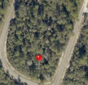 TBD FISHER WAY TRACK Tbd Fisher Way Track Fisher Way, Ocklawaha, Floride 32179, États-Unis