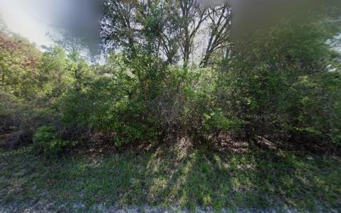 Tbd NE 799th Street, Old Town, Florida 32680, USA