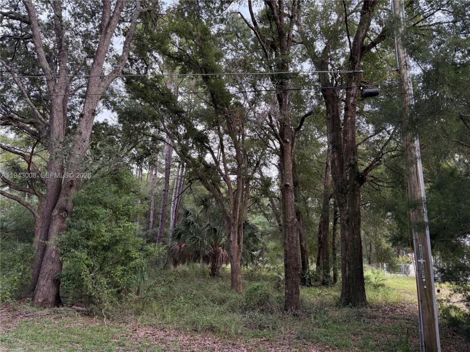 0 St Benedict Dr, Florida 34432, USA
