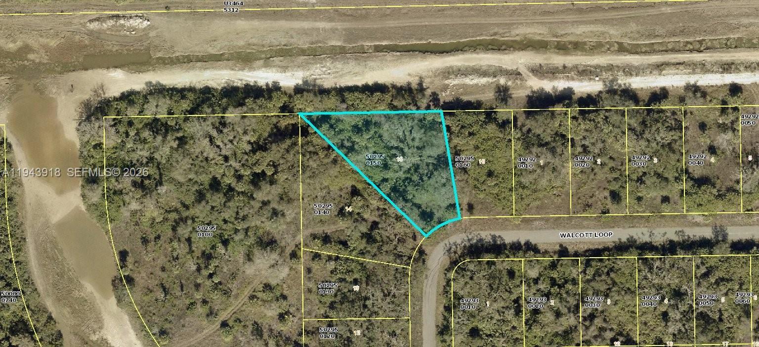 1963 Walcott Loop, Lehigh Acres, 플로리다 33972, 미국