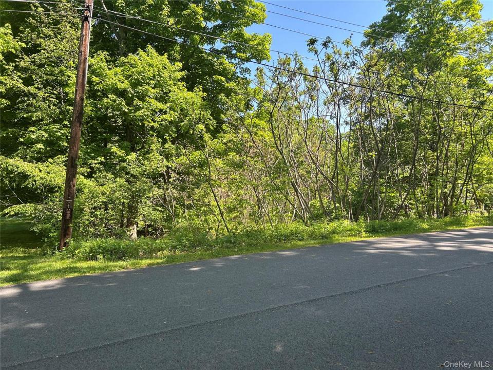 20 Hickory Lane, Beekman, New York 12564, Stati Uniti