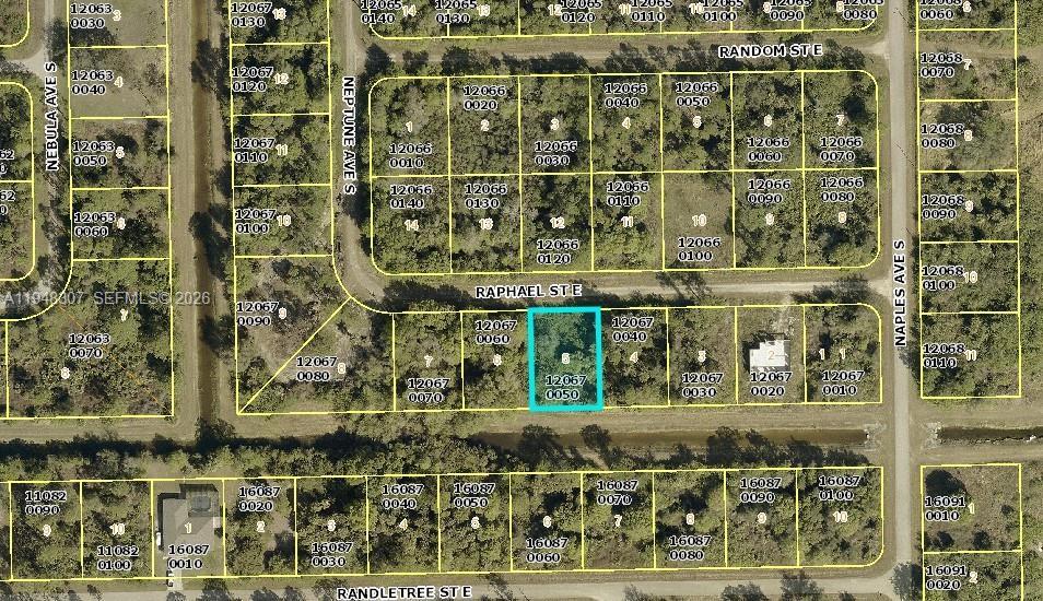 1238 RAPHAEL ST E, Lehigh Acres, פלורידה 33974, ארצות הברית של אמריקה