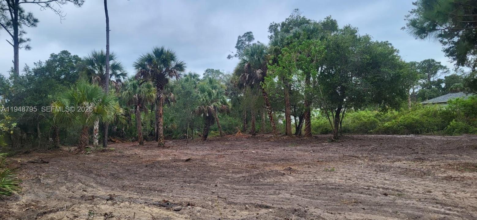 315 Ivanhoe Ave, La Belle, Floride 33935, États-Unis