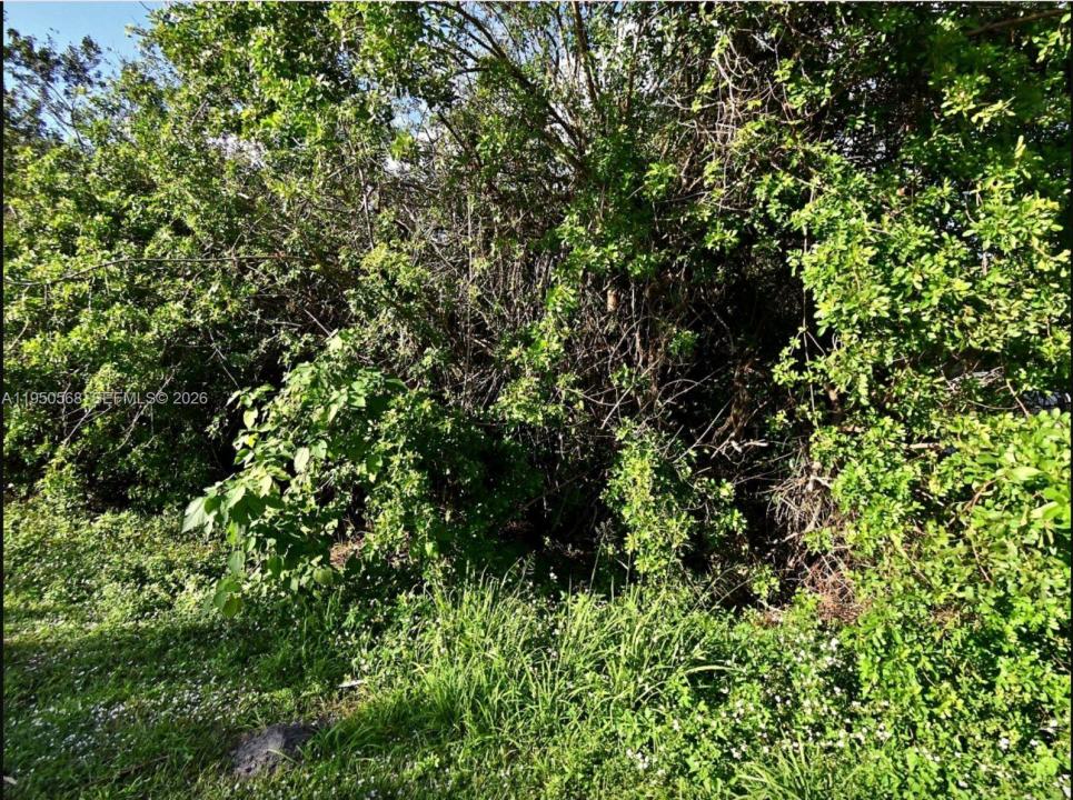 n/a San Diego Ave, Fort Pierce, Floride 34946, États-Unis