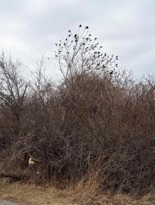18 Homeward Lane, East Hampton, ניו יורק 11954, ארצות הברית של אמריקה 