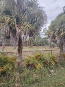 615 621 Hunting Club Ave, Clewiston, Floride 33440, États-Unis