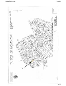 Pine, Cedar Glen, Californie 92321, États-Unis