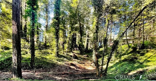 HWY 116, Guerneville, كاليفورنيا 95446, الولايات المتحدة