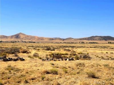 Belmont, California Valley, California 93453, Stati Uniti