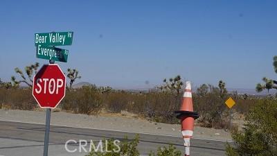 BEAR VALLEY Road, Pinon Hills, Californie 92372, États-Unis