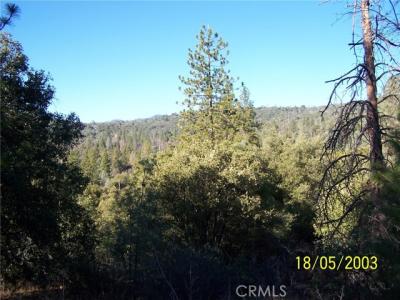 Jean Rd West, Oakhurst, Californie 93644, États-Unis