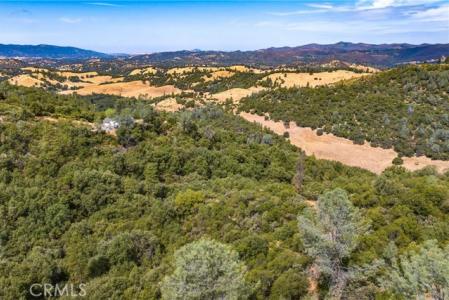 Pappalardo Promenade, Murphys, 캘리포니아 95247, 미국