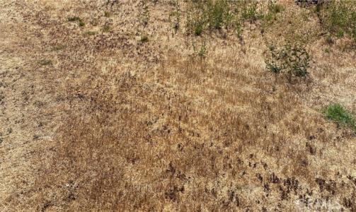 Vac/Ave G/Vic 125 Stw, Antelope Acres, Kalifornien 93536, USA