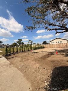 Olive Street, Claremont, Californie 91711, États-Unis