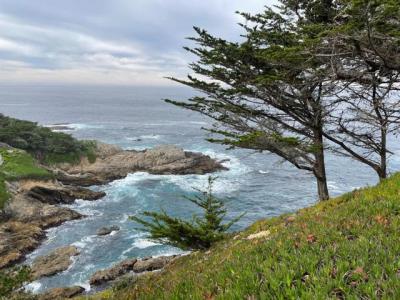 Carmel Riviera Drive, Carmel, California 93923, Stati Uniti