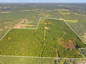 5379 CR 385, Tyler, Texas 75708, Estados Unidos