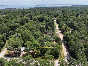 Lot 101 Ithica, Livingston, Texas 77351, USA