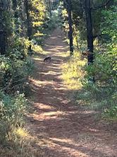 260 Circle M Road, Benton, Louisiana 71006, Stati Uniti