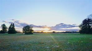 Hwy 37, Quitman, Texas 75783, USA