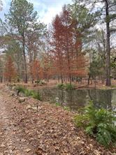 County Road 3450, Hawkins, Texas 75765, États-Unis