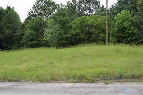 #1 Main Street, Minden, Louisiana 71055, USA