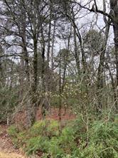 2529 CR 3540, Hawkins, Texas 75765, États-Unis