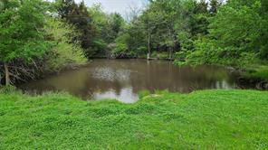 10621 Fm 512, Wolfe City, Texas 75496, Stati Uniti