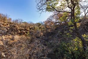 County Road 441, Sweetwater, Texas 79556, HOA KỲ