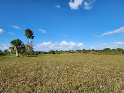 18717 NW 258 st, Okeechobee, Florida 34972, HOA KỲ