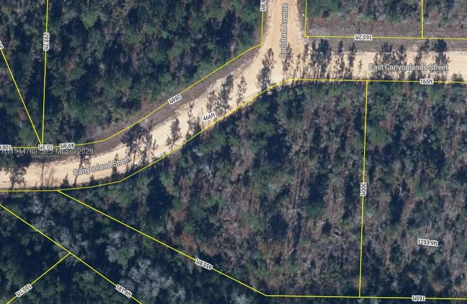 Canyonland Street EAST CANYONLANDS ST, Флорида 32420, Соединенные Штаты
