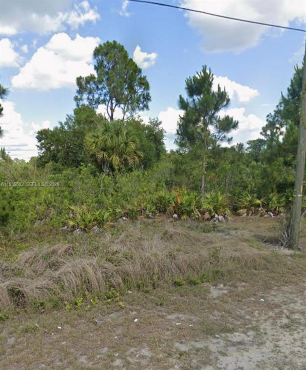 169 Thornton Ave S, Lehigh Acres, Florida 33974, USA