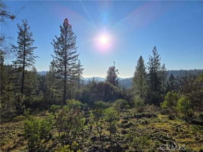 Double Eagle Way, Brownsville, Californie 95919, États-Unis