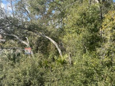 000 Malauka Cir Circle, Ocklawaha, Floride 32179, États-Unis