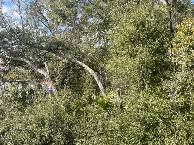 000 Malauka Cir Circle, Ocklawaha, Floryda 32179, USA