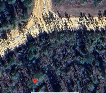 Canyonland Street EAST CANYONLANDS ST, Other City - In The State Of Florida, Florida 32420, USA