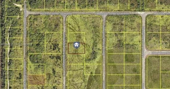 2517 CHATAWAY AVE SW, Palm Bay, 佛羅里達州 32908, 美國