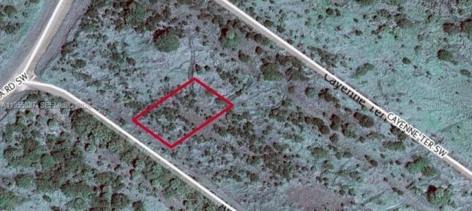 985 AKUND TER SW, Palm Bay, 佛羅里達州 32908, 美國