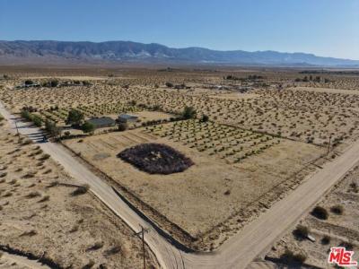 Santa Fe Fire Road, Lucerne Valley, California 92356, Stati Uniti